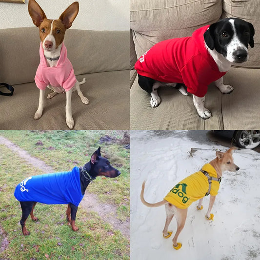 "Chic Winter Wardrobe: Stylish Fleece Hoodies for Dogs - Cozy Sweatshirts, Jackets, and Trendy Pet Costumes for Small, Medium, and Large Breeds in 2021"